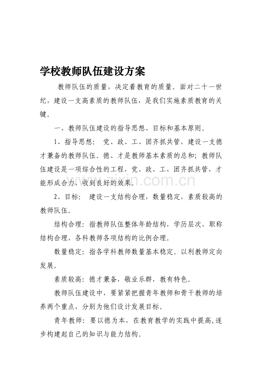 教师队伍建设方案.doc_第1页