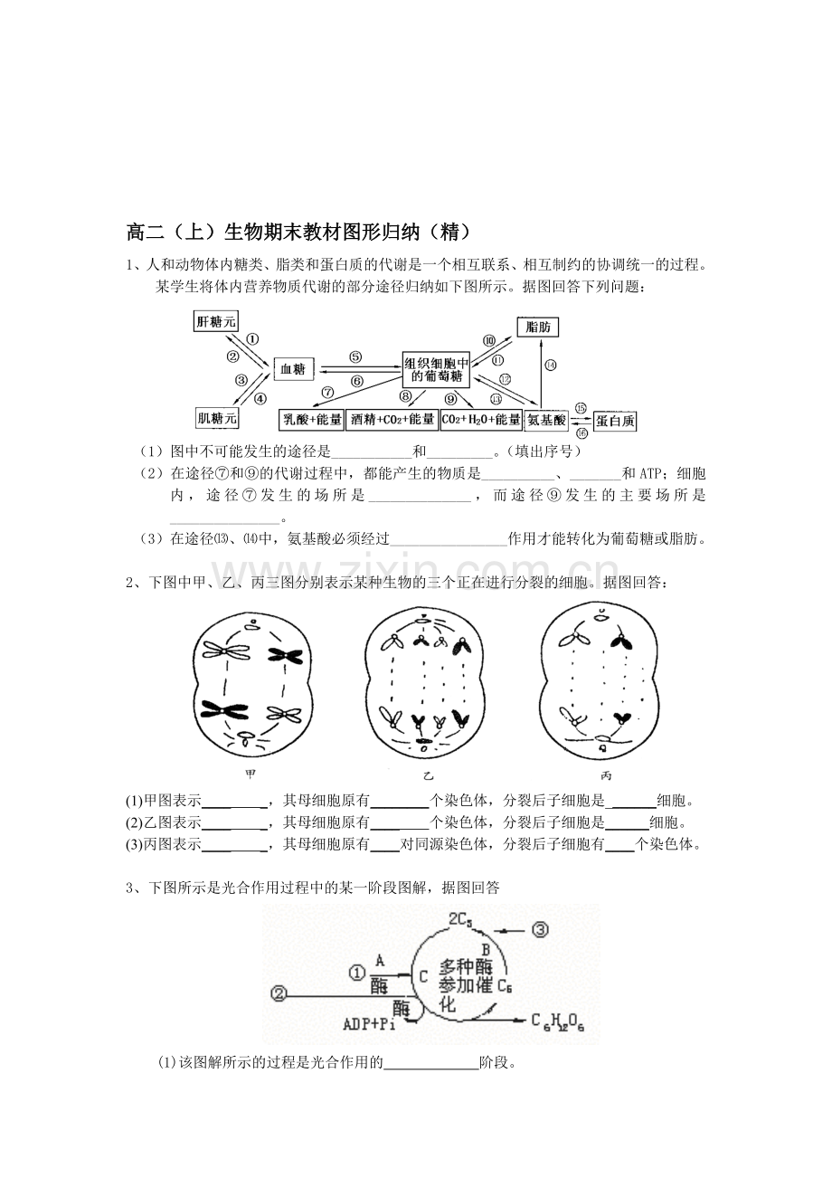 高二上学期生物期末复习--图形题集锦.doc_第1页