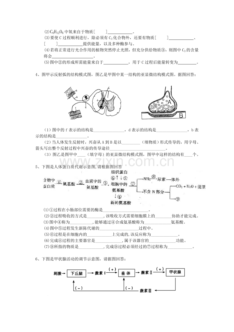 高二上学期生物期末复习--图形题集锦.doc_第2页