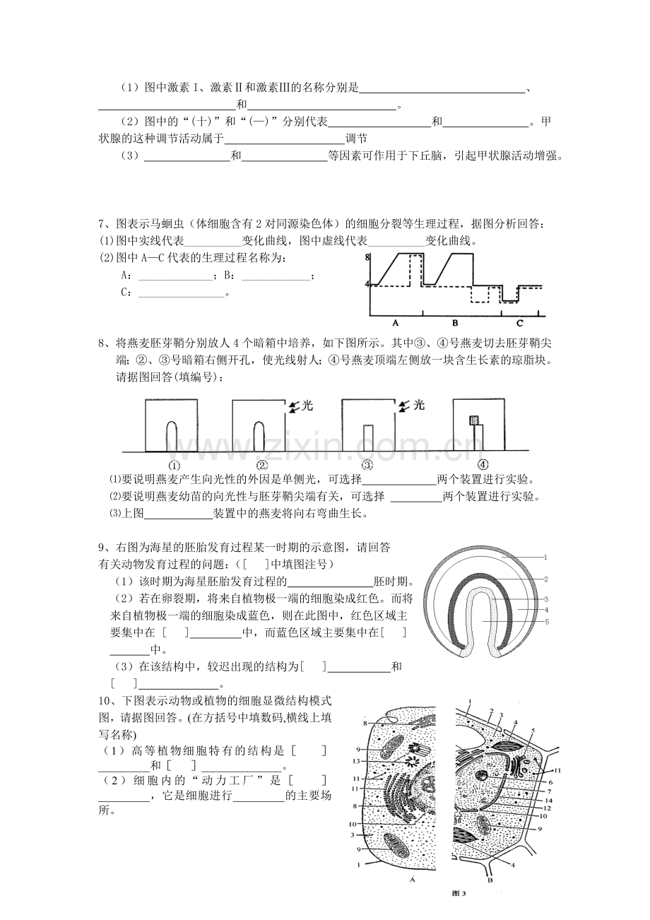 高二上学期生物期末复习--图形题集锦.doc_第3页