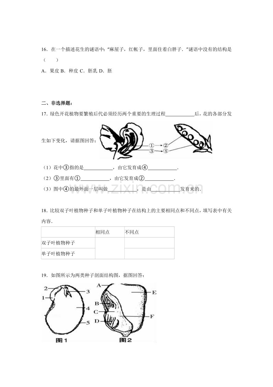 果实和种子的形成同步练习卷.doc_第3页