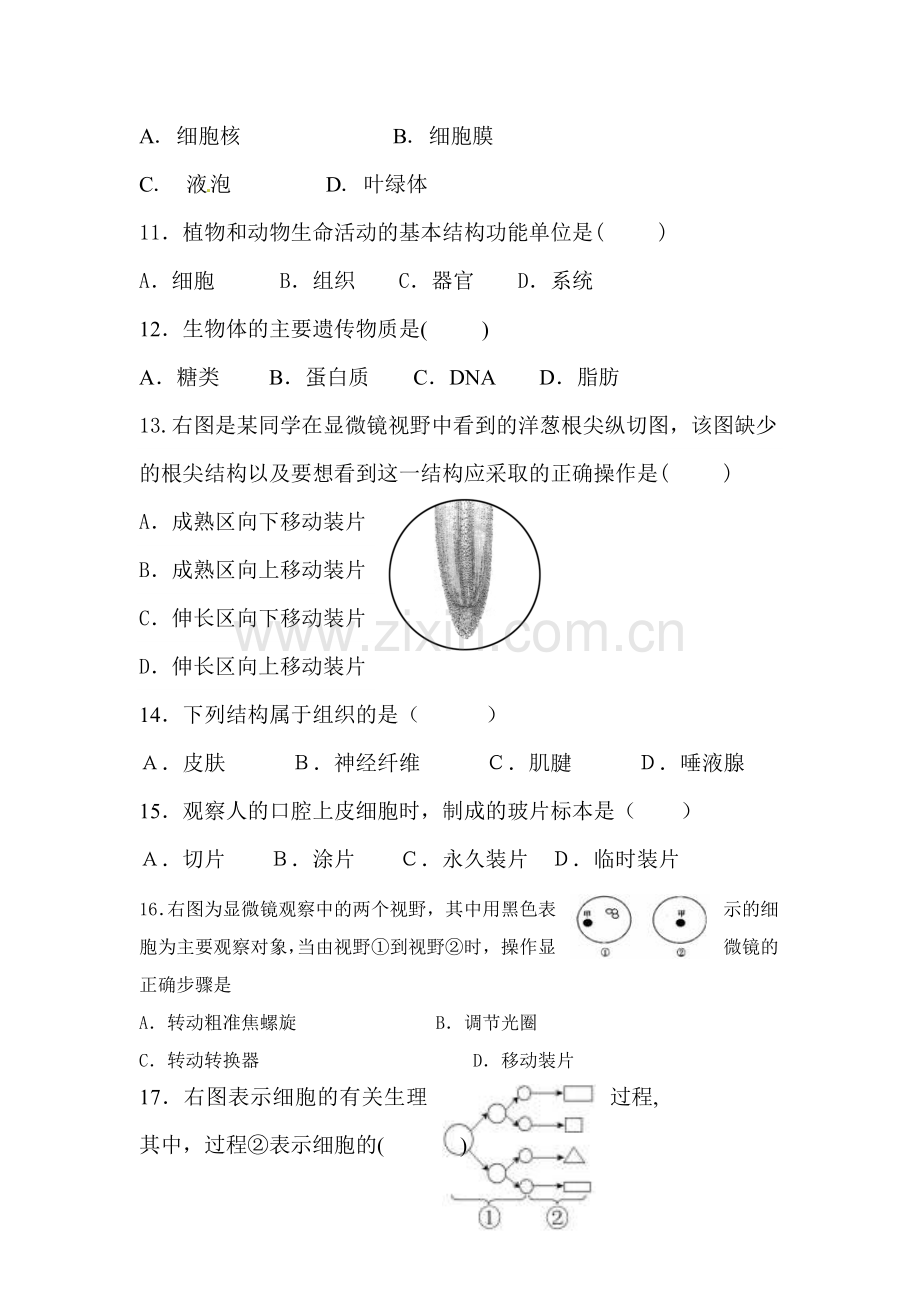 生物体的结构层次同步测试题.doc_第3页