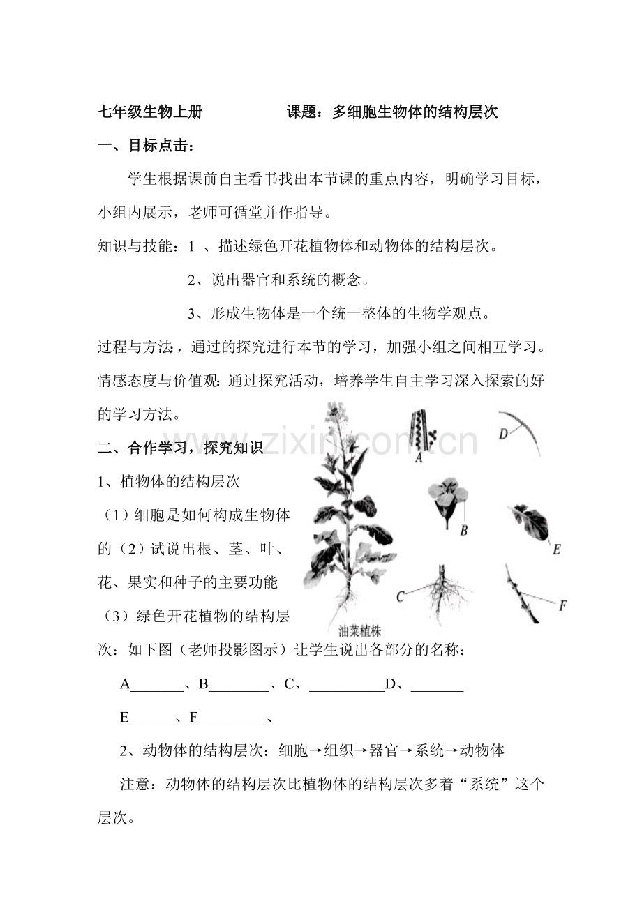 七年级生物多细胞生物体的结构层次同步测试.doc_第1页