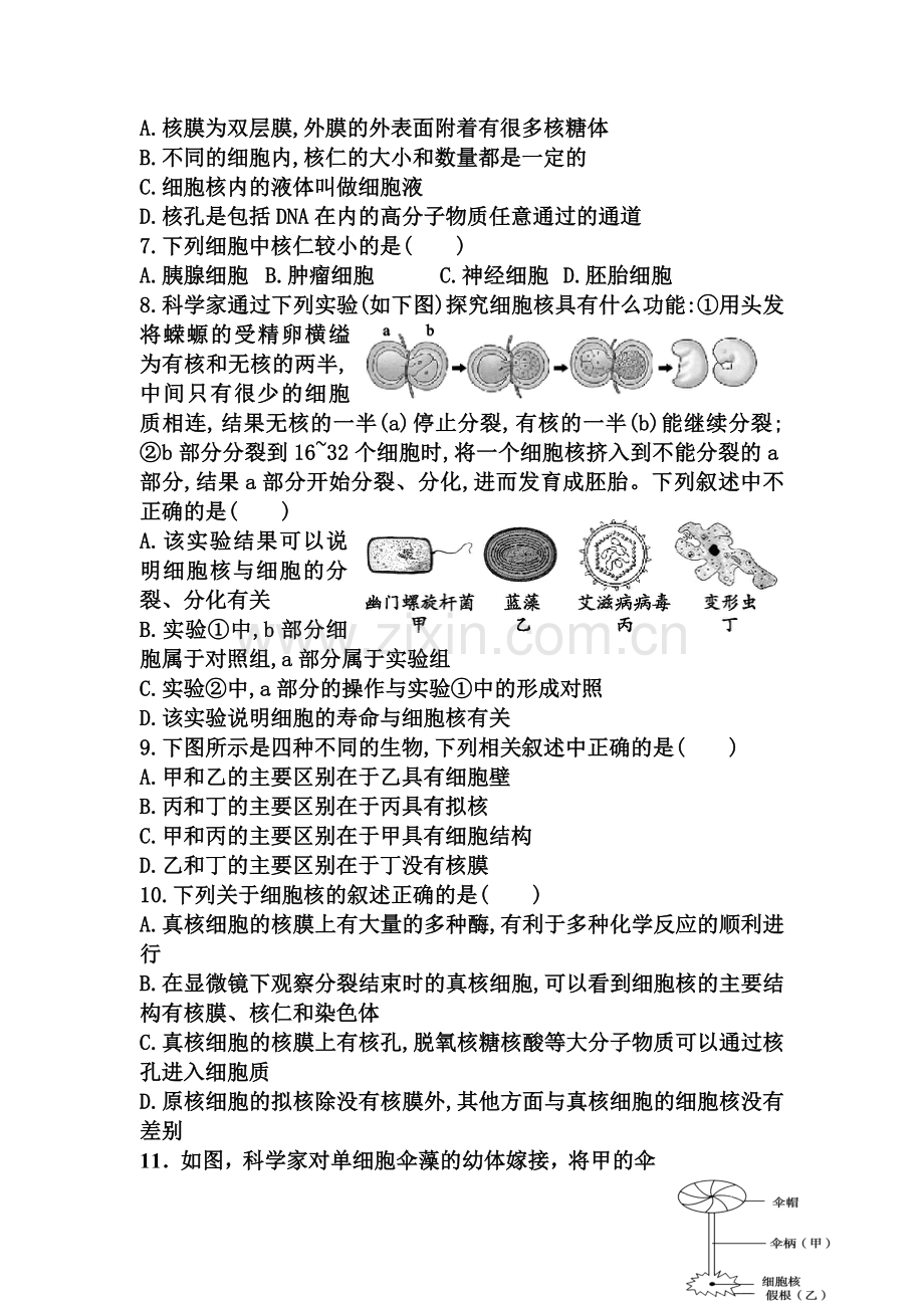 河北省武邑中学2015-2016学年高一生物上册寒假作业8.doc_第2页