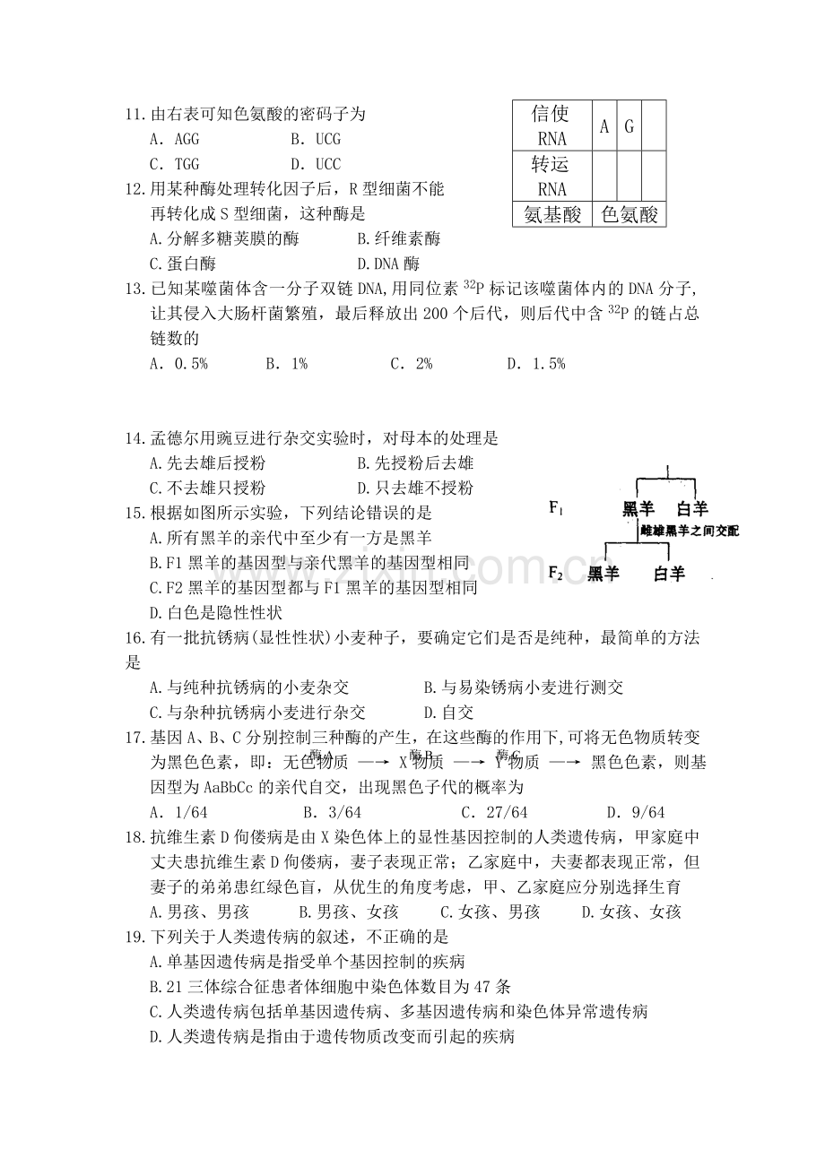 高二生物上册期末测试卷1.doc_第3页