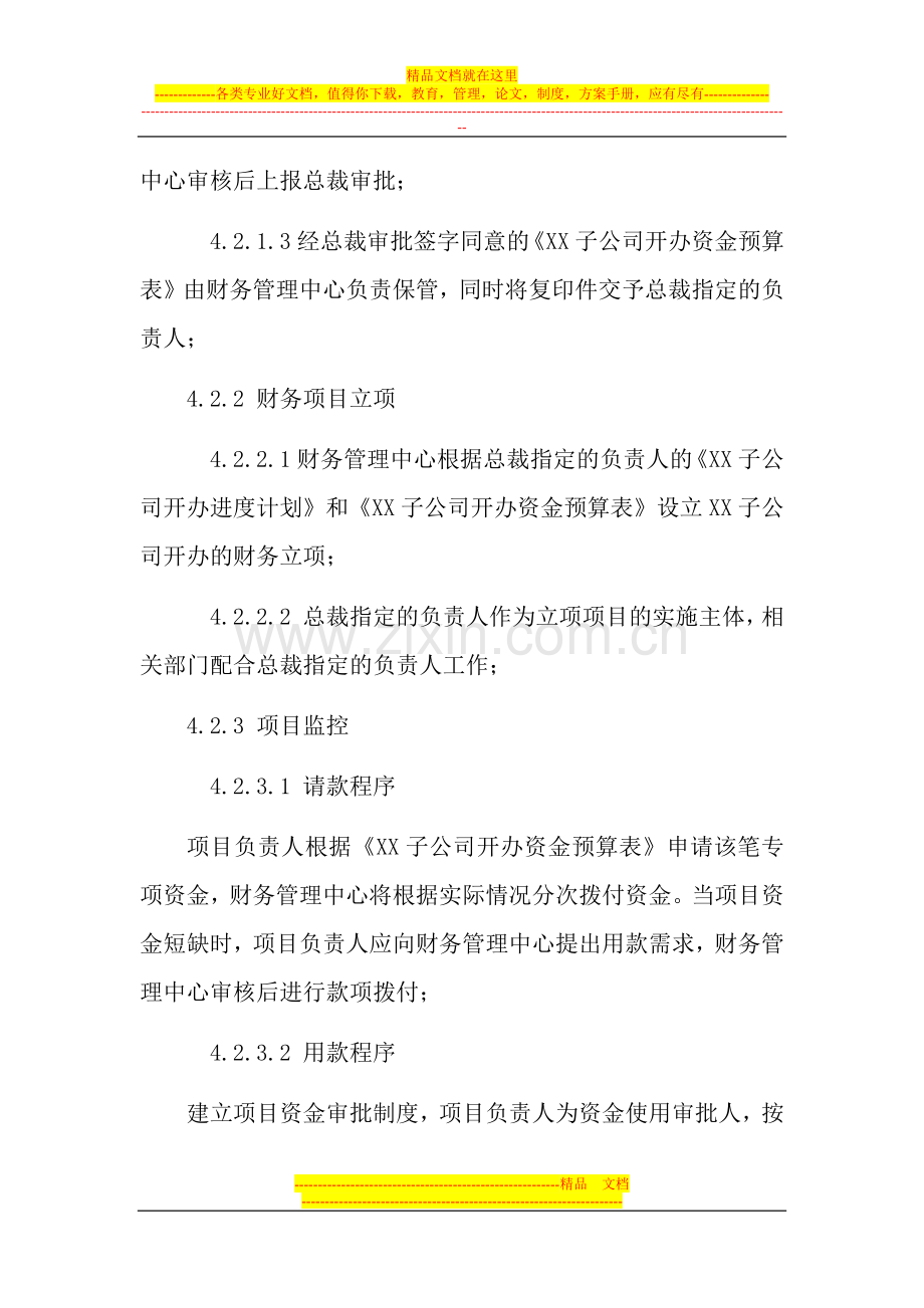 子公司开办的财务管理制度.docx_第3页