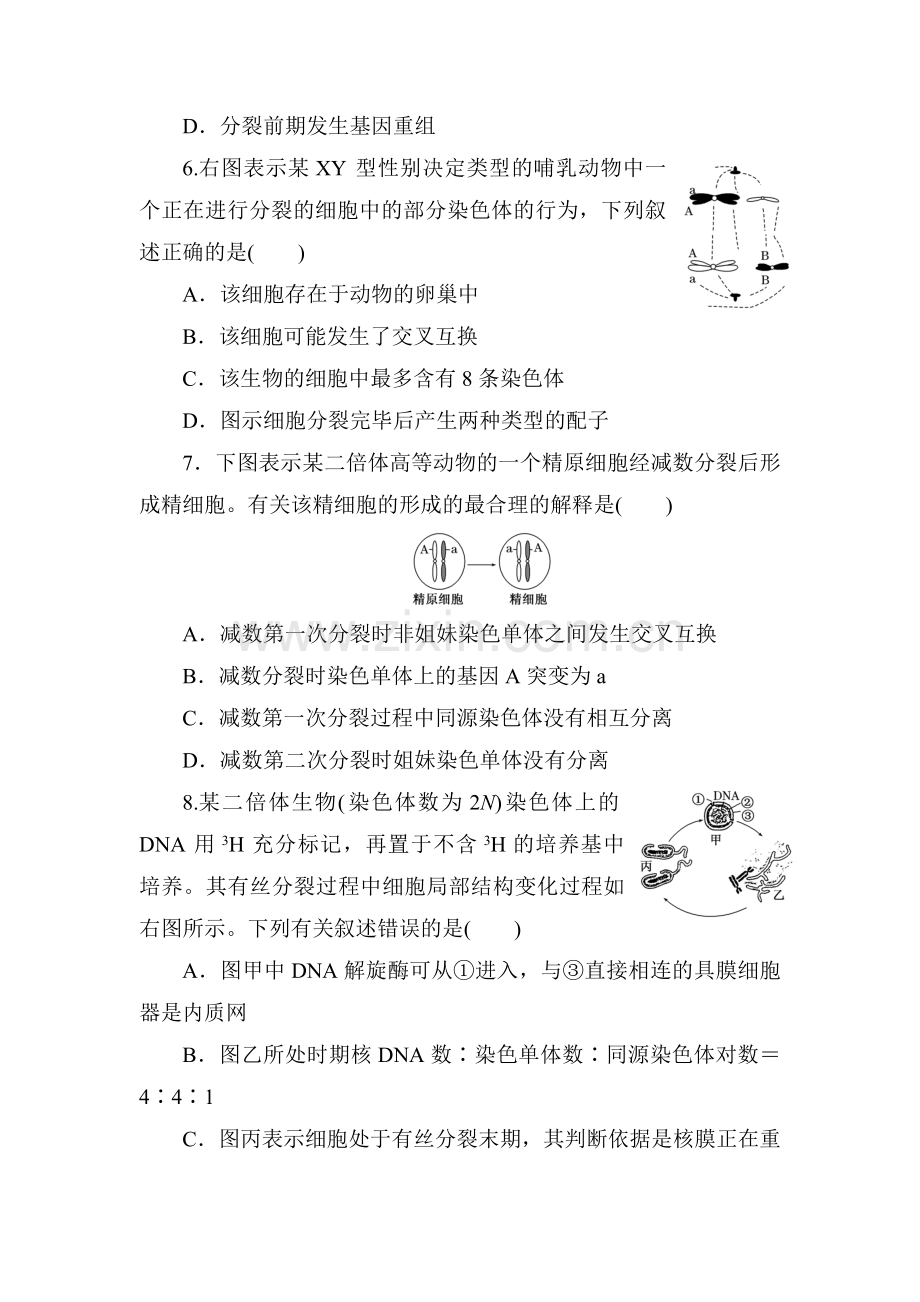 2016届高考生物第二轮知识点诊断测试题10.doc_第3页