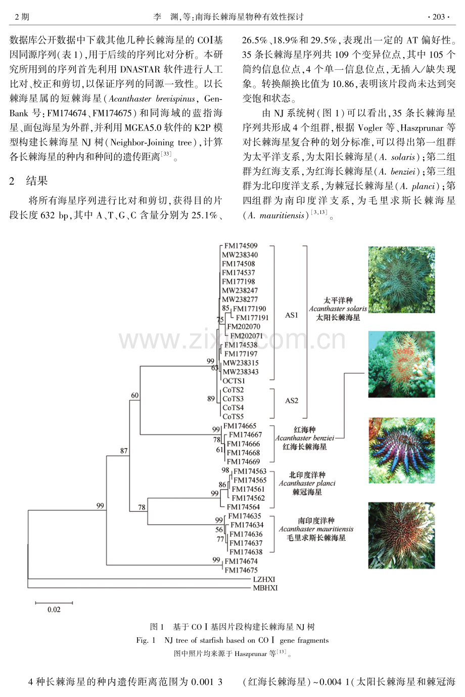 南海长棘海星物种有效性探讨.pdf_第3页