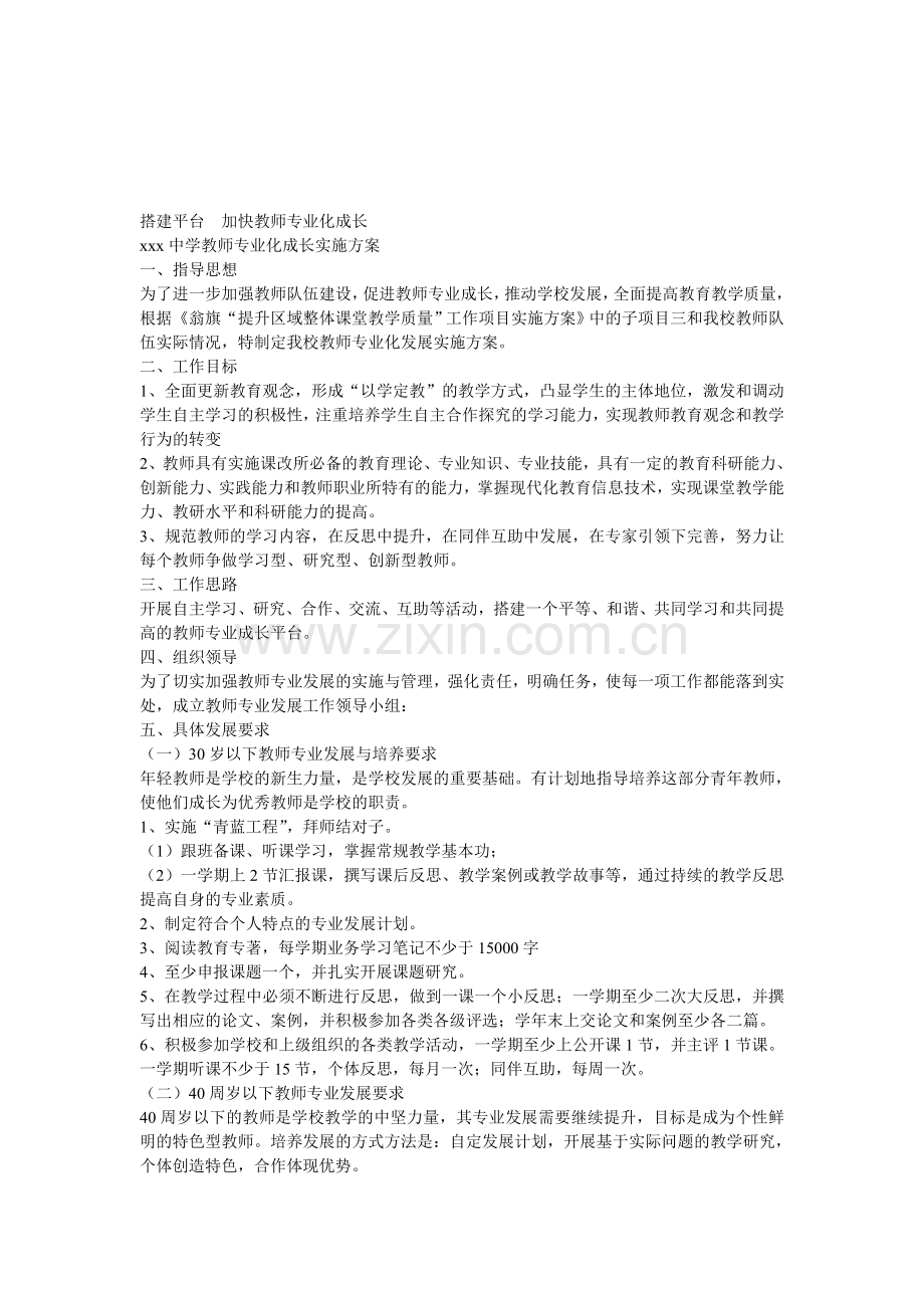 教师专业化成长实施方案.doc_第1页