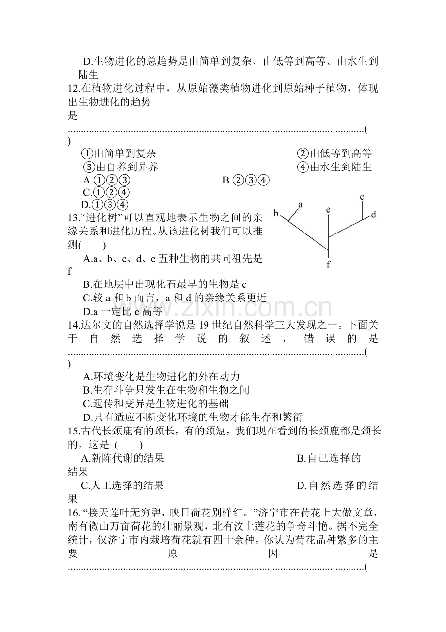 生物的进化单元综合测试.doc_第3页