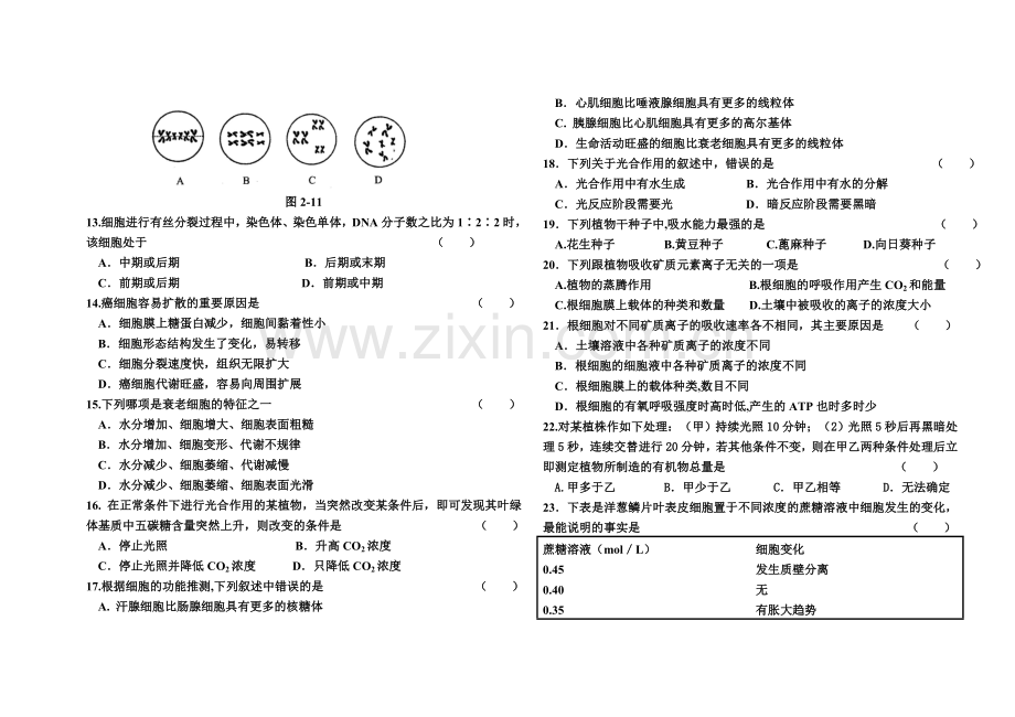 高二生物第一学期期中考试(理科).doc_第2页