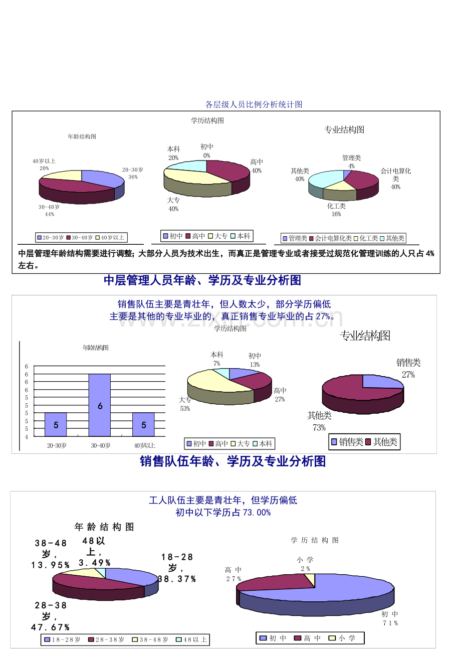 人力资源诊断报告.doc_第2页