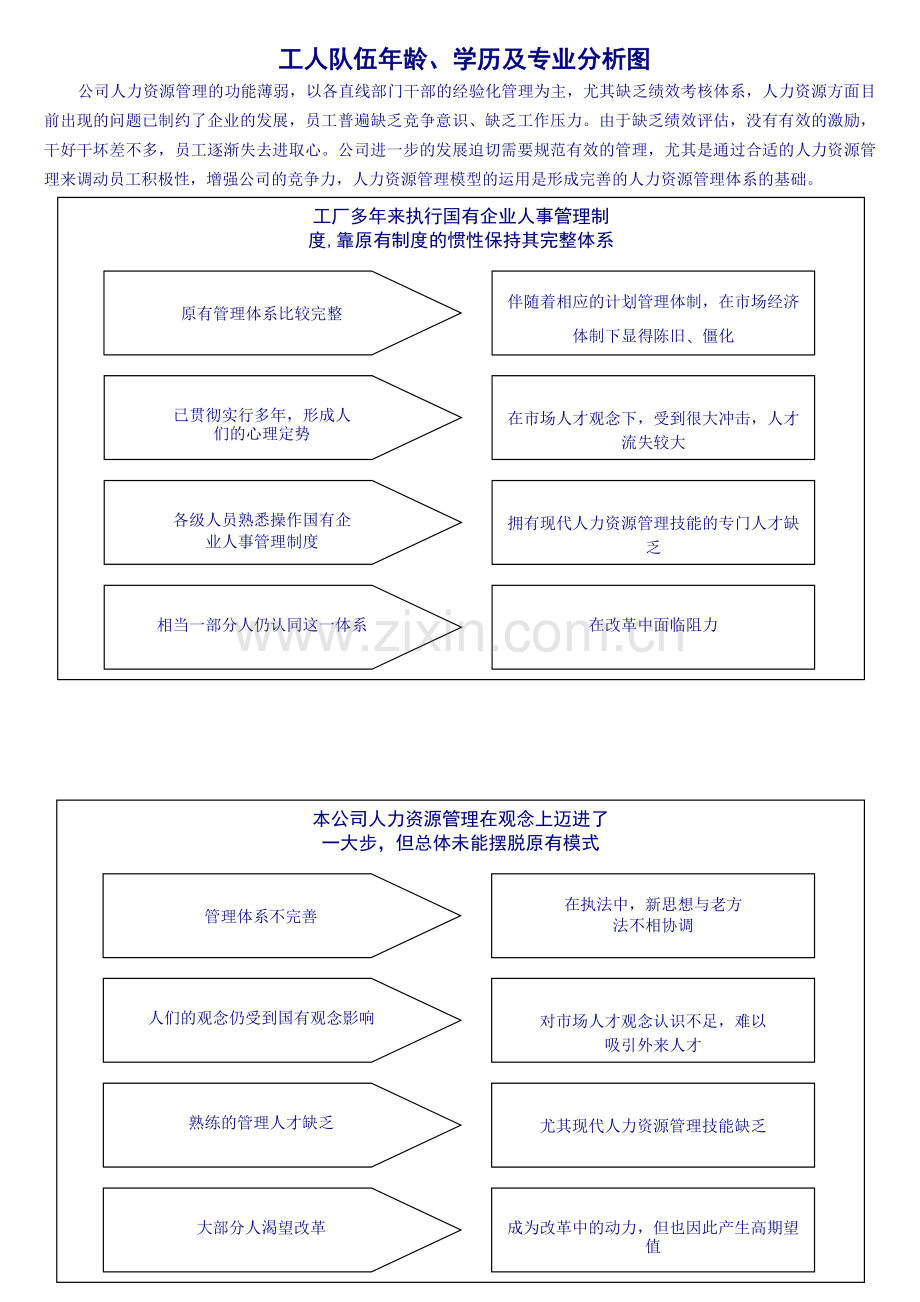 人力资源诊断报告.doc_第3页