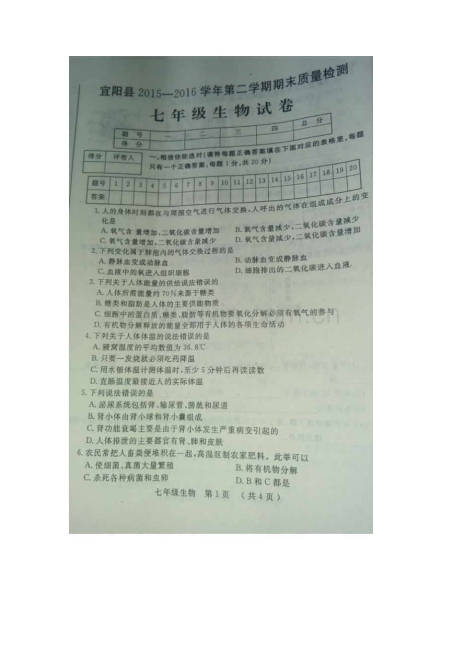 河南省洛阳市2015-2016学年七年级生物下册期末考试题.doc_第2页