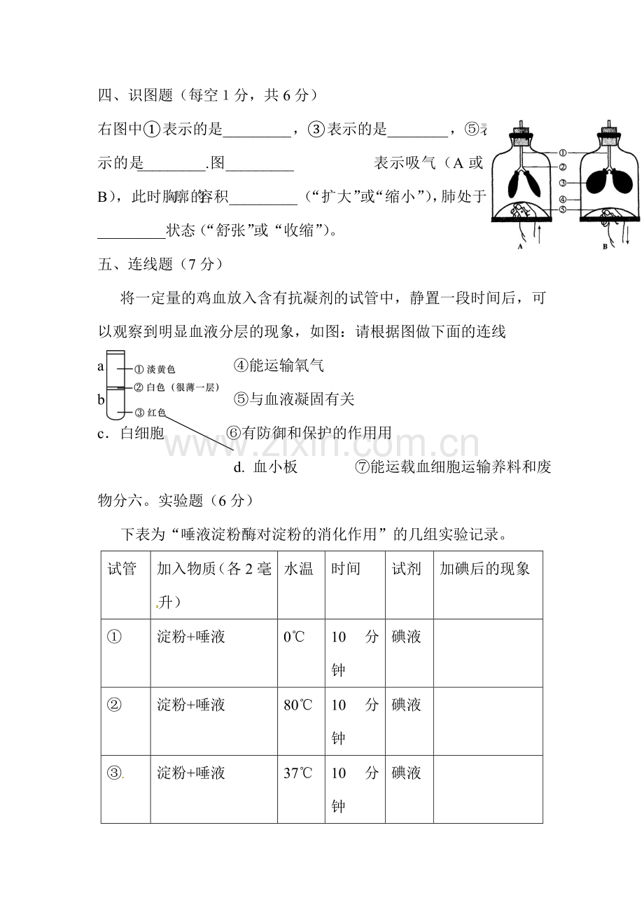 甘肃省民勤县2015-2016学年七年级生物下册期中试题.doc_第3页