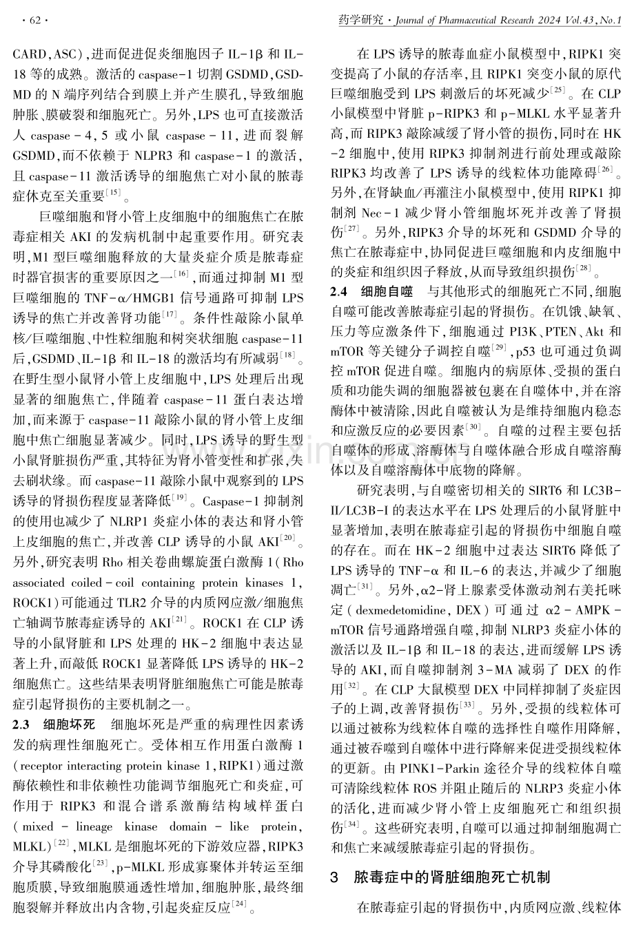 细胞死亡在脓毒症引起的肾损伤中的作用.pdf_第3页