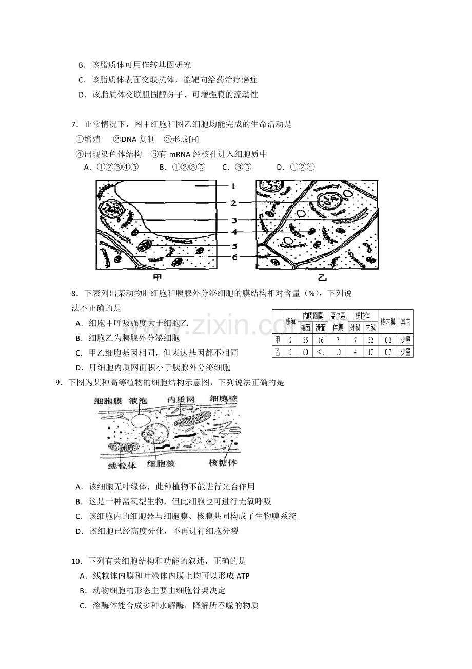 北京四中2013届高三上学期期中测验生物试题.doc_第2页