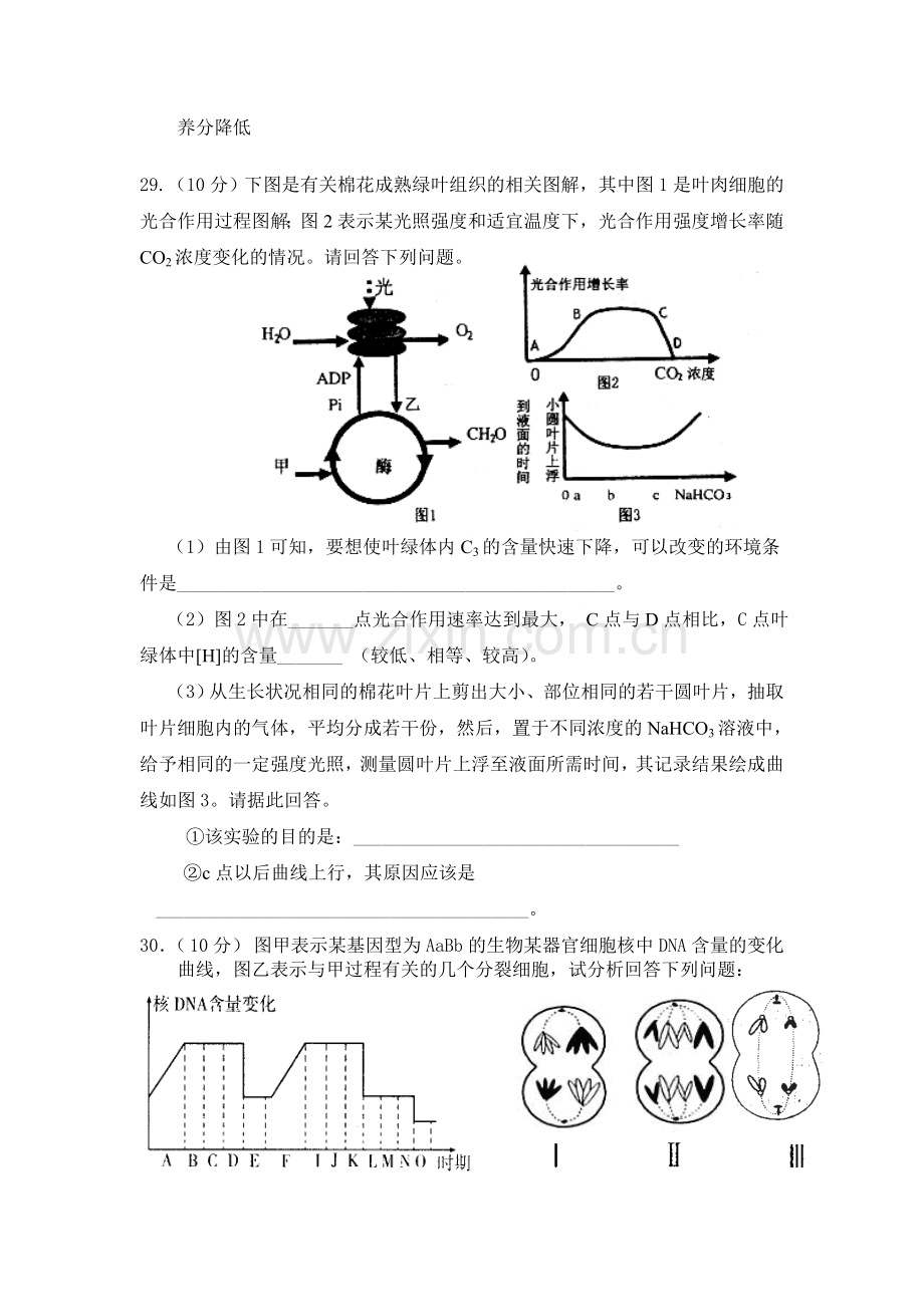 湖南省益阳市2016届高三生物下册第八次周考试题2.doc_第3页