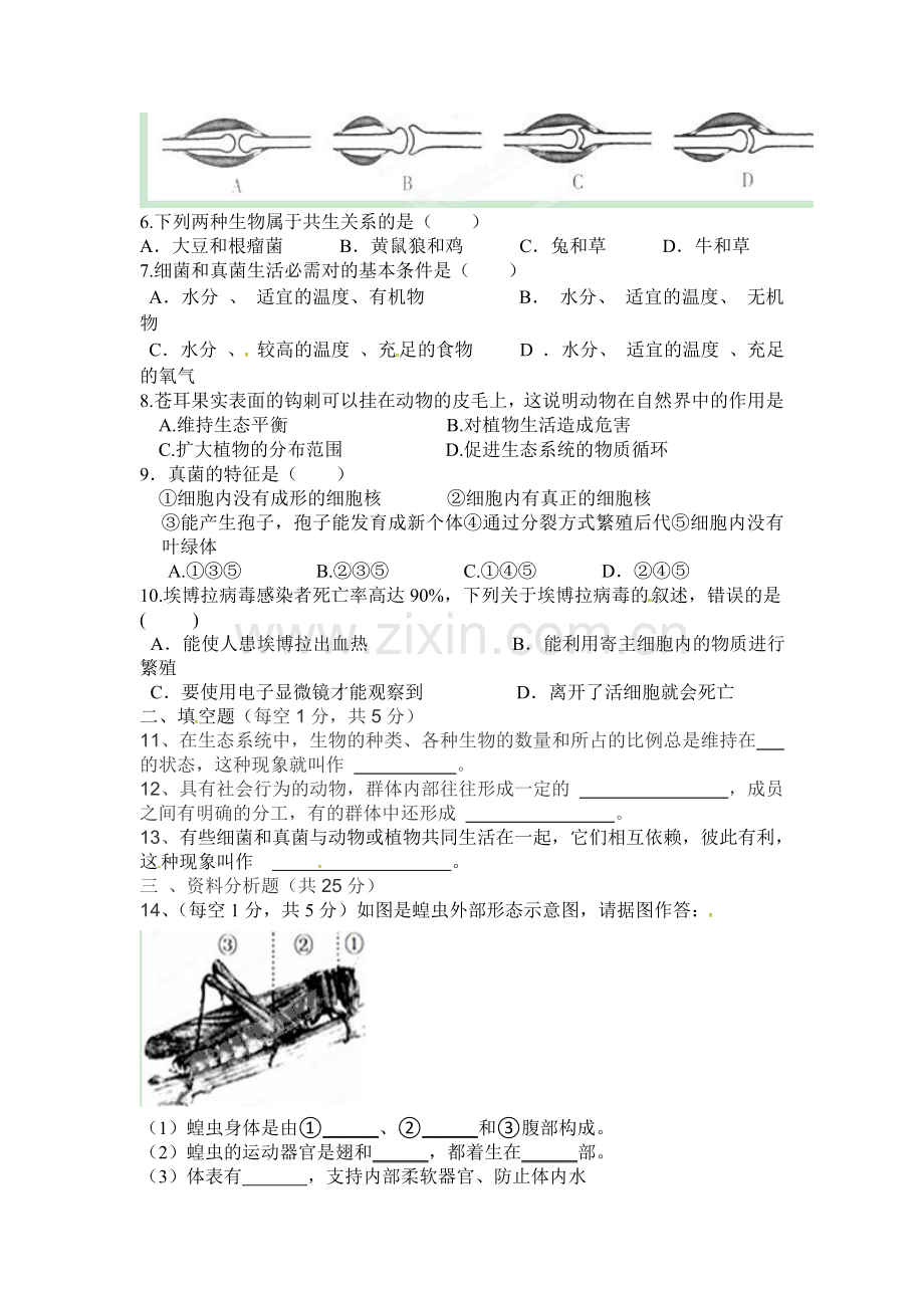 2015-2016学年八年级生物上册期中考试题4.doc_第2页