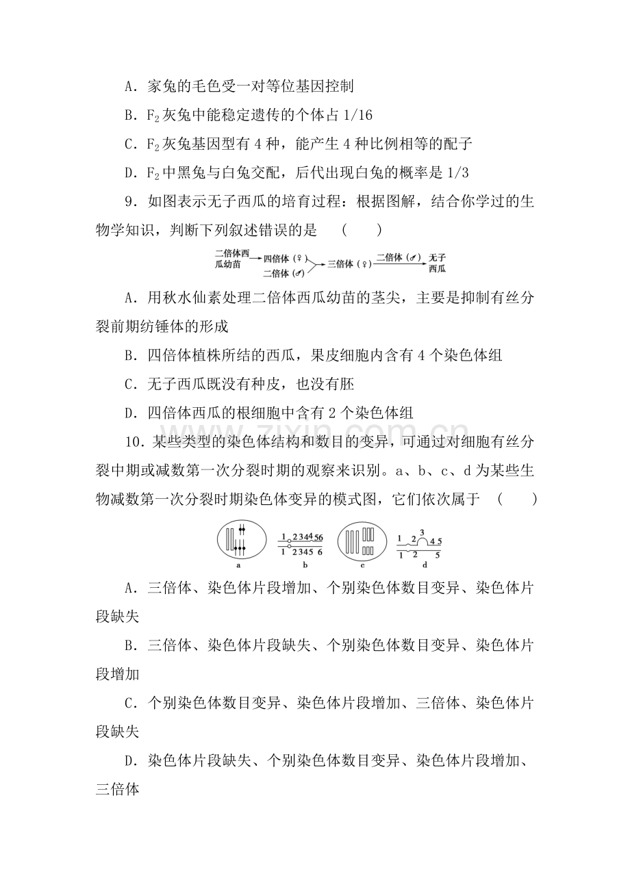 2016-2017学年高一生物下册综合检测题5.doc_第3页