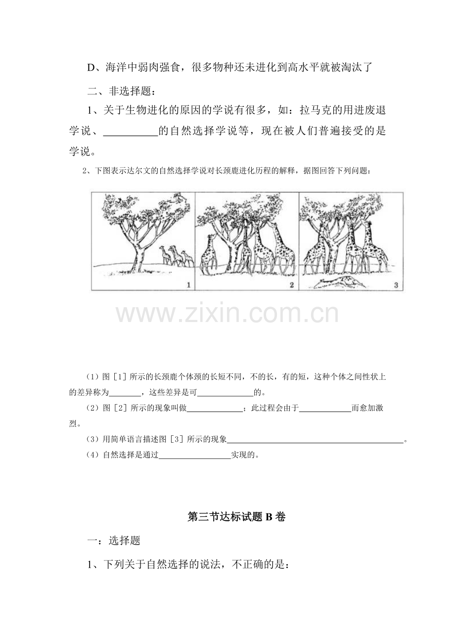 生物进化的原因达标试题.doc_第2页