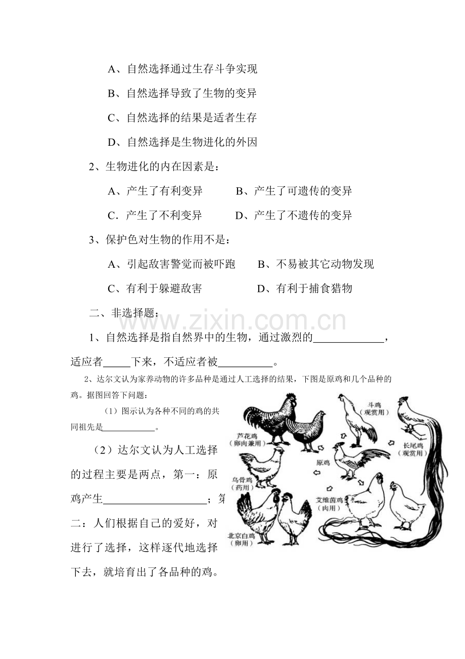 生物进化的原因达标试题.doc_第3页