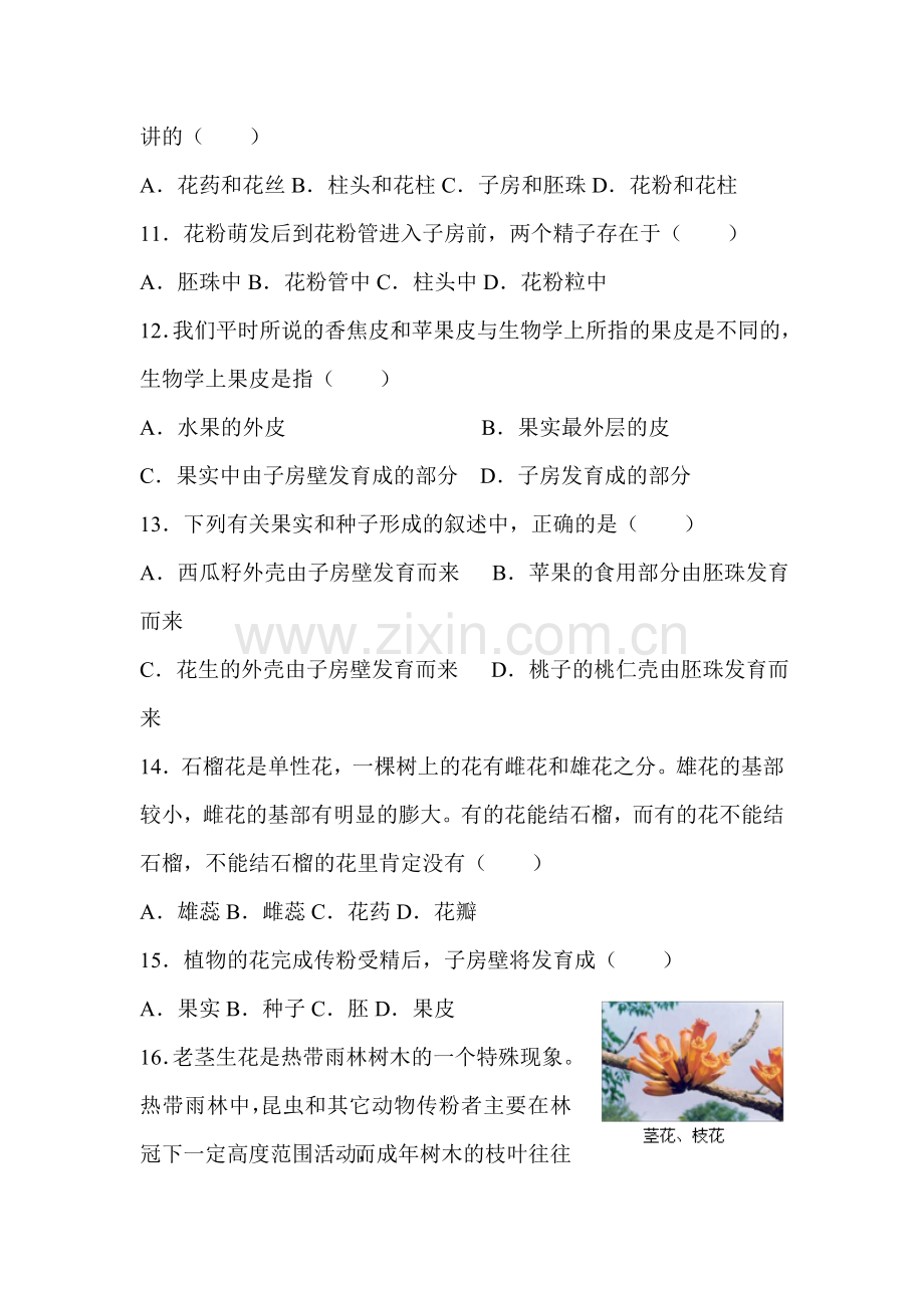 开花和结果练习题.doc_第3页