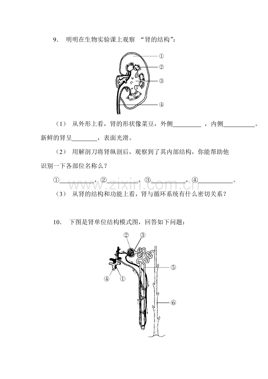 七年级生物下册知识点课时训练题36.doc_第2页