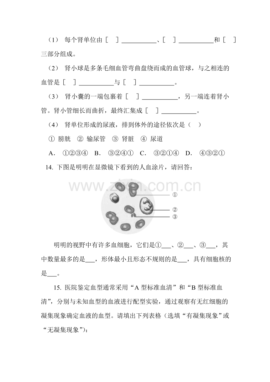 七年级生物下册知识点课时训练题36.doc_第3页