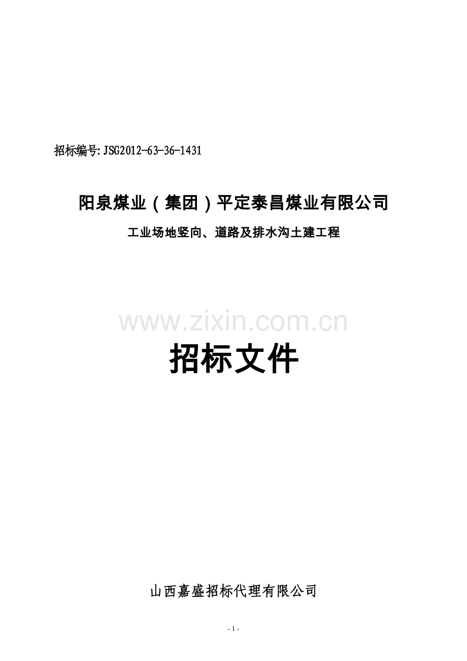 泰昌工业场地竖向、道路及排水沟土建工程招标文件.doc_第2页