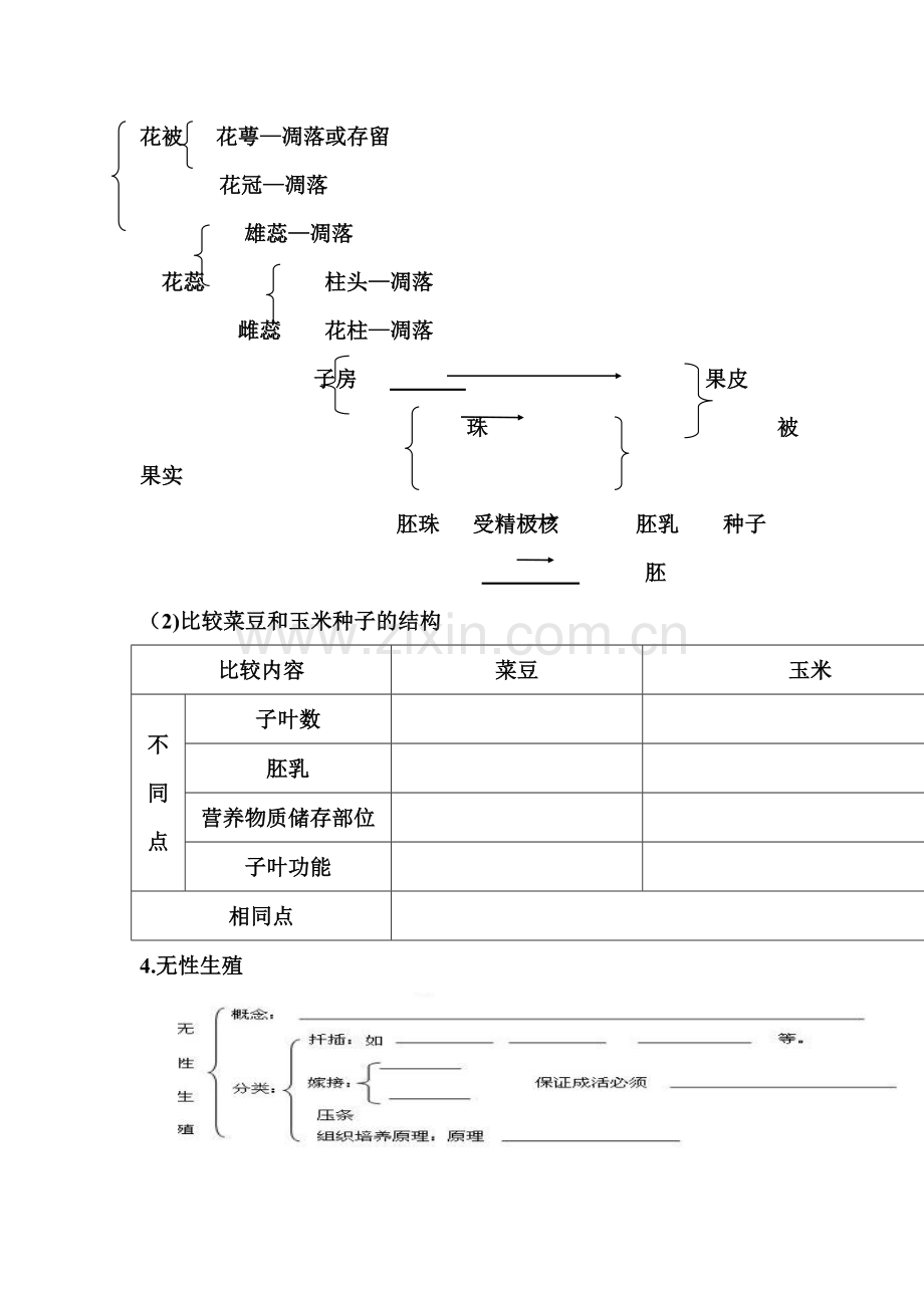 八年级生物两栖动物的生殖与发育课堂练习.doc_第2页