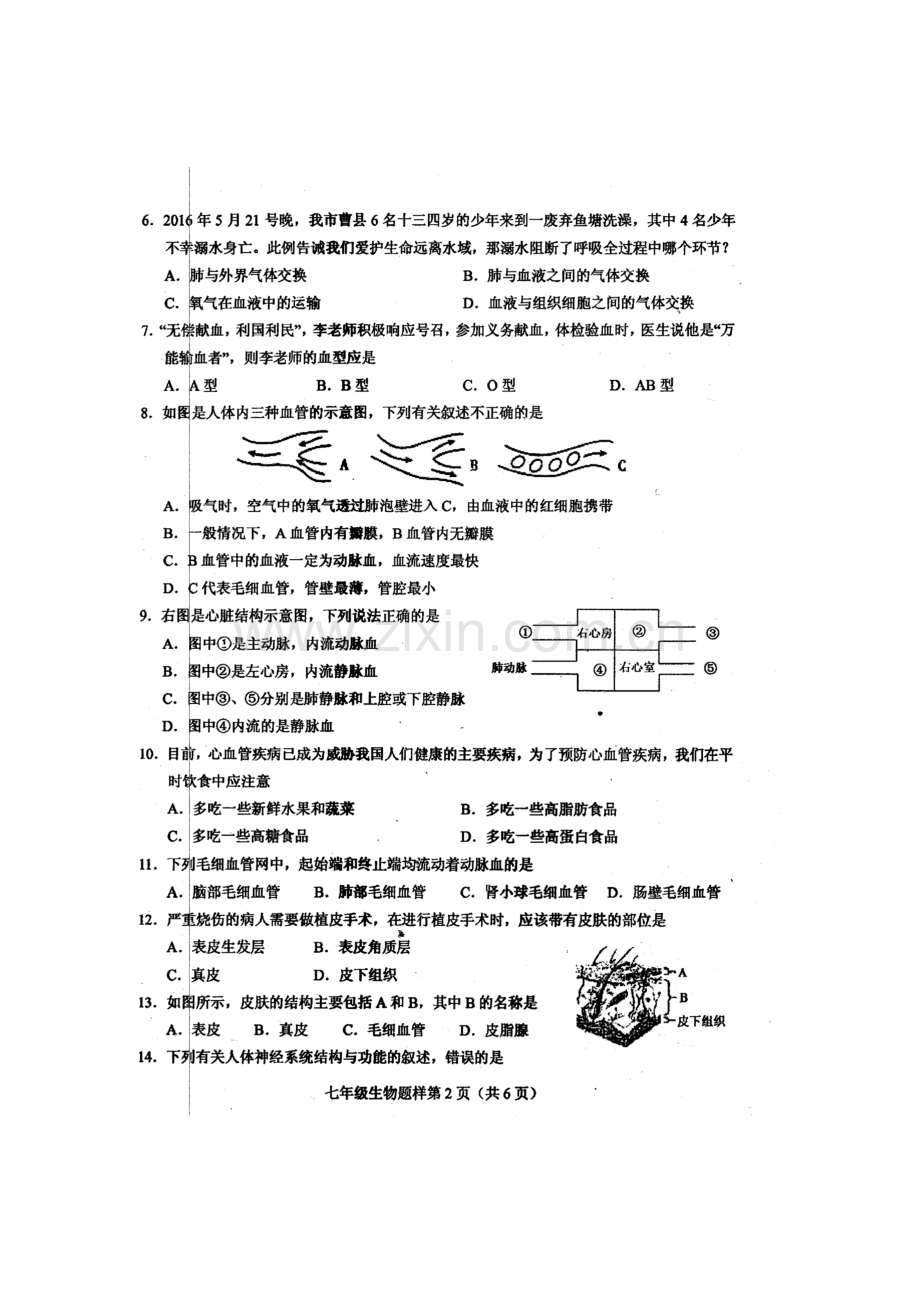 山东省菏泽市2015-2016学年七年级生物下册期末考试题1.doc_第2页