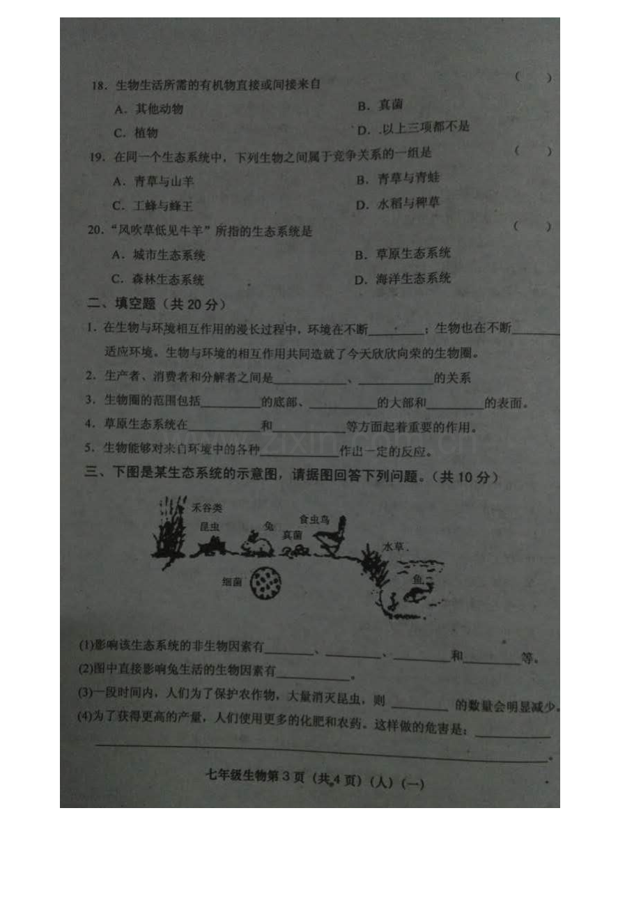 七年级生物上册检验学习状况考试试题.doc_第3页