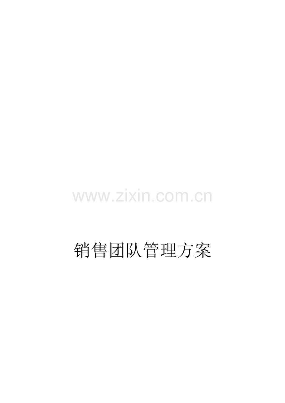 销售团队管理计划书.doc_第1页