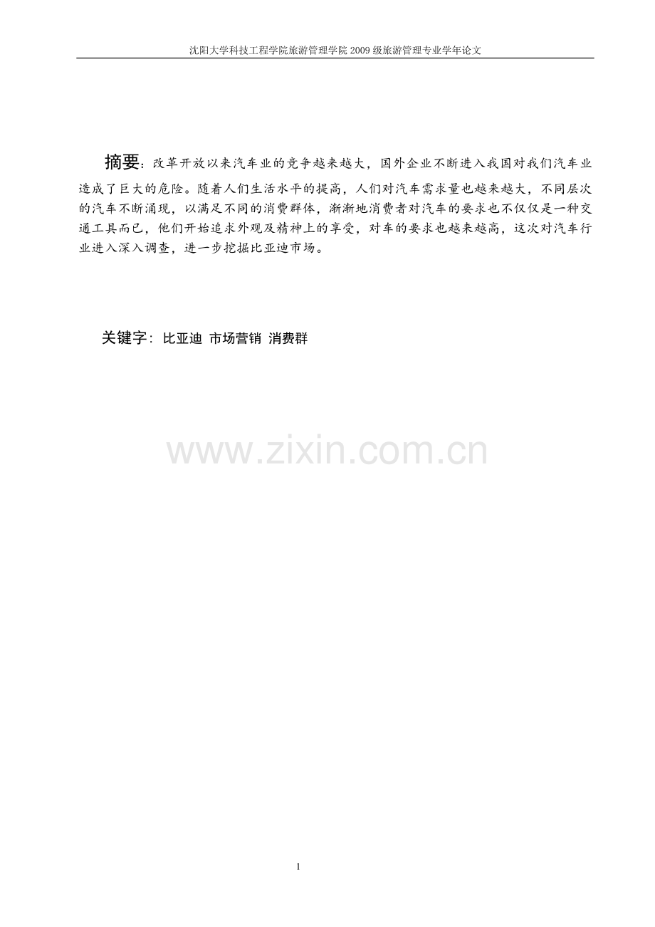 比亚迪营销策划书.doc_第1页