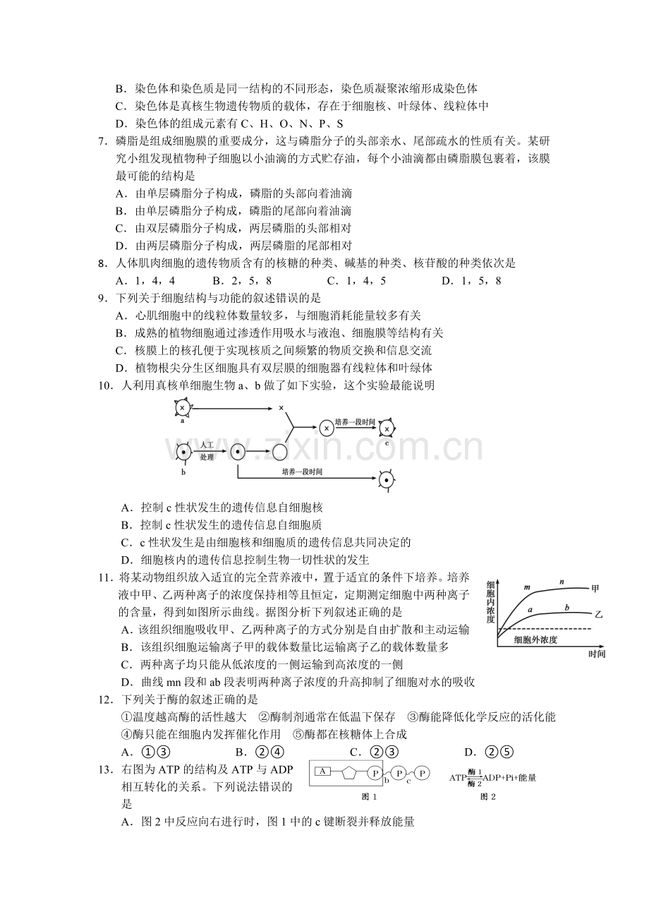 湖北省黄石市2015-2016学年高一生物上册期末试题1.doc_第2页