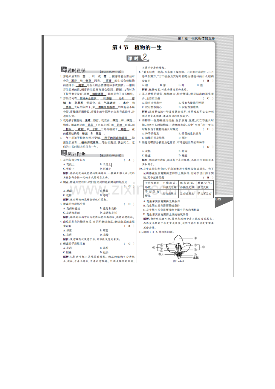 植物的一生检测题.doc_第3页