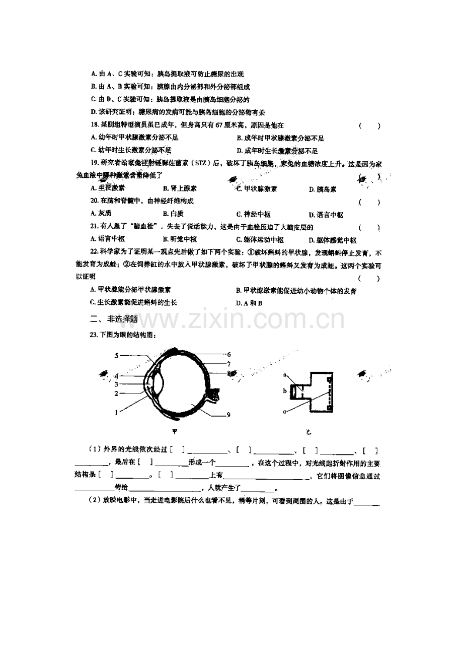 七年级生物下册阶段性调研测试题12.doc_第3页