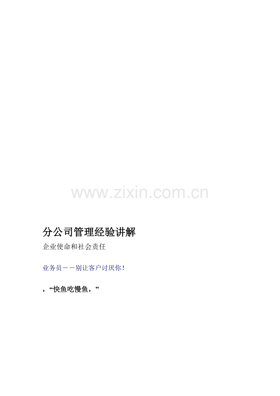 分公司管理经验讲解.doc_第1页