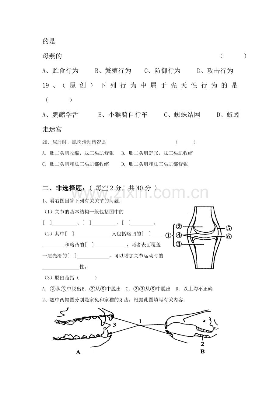 八年级生物上册各校期中模拟考试试题7.doc_第3页