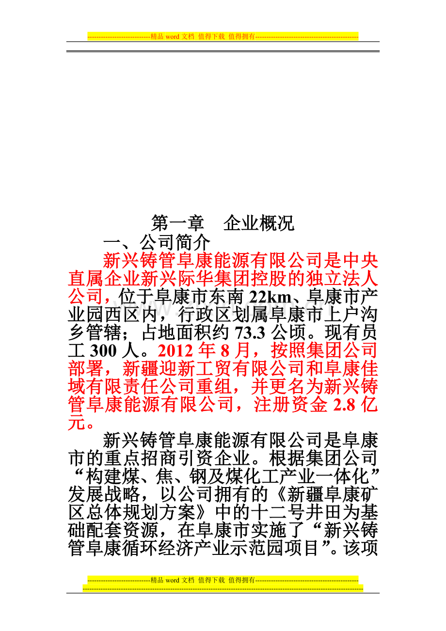 新兴铸管阜康能源有限公司企业文化手册(初稿).doc_第3页