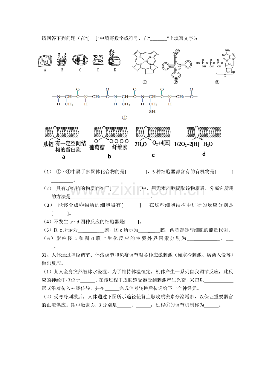 湖北省老河口市2016届高三生物上册12月月考试题.doc_第3页