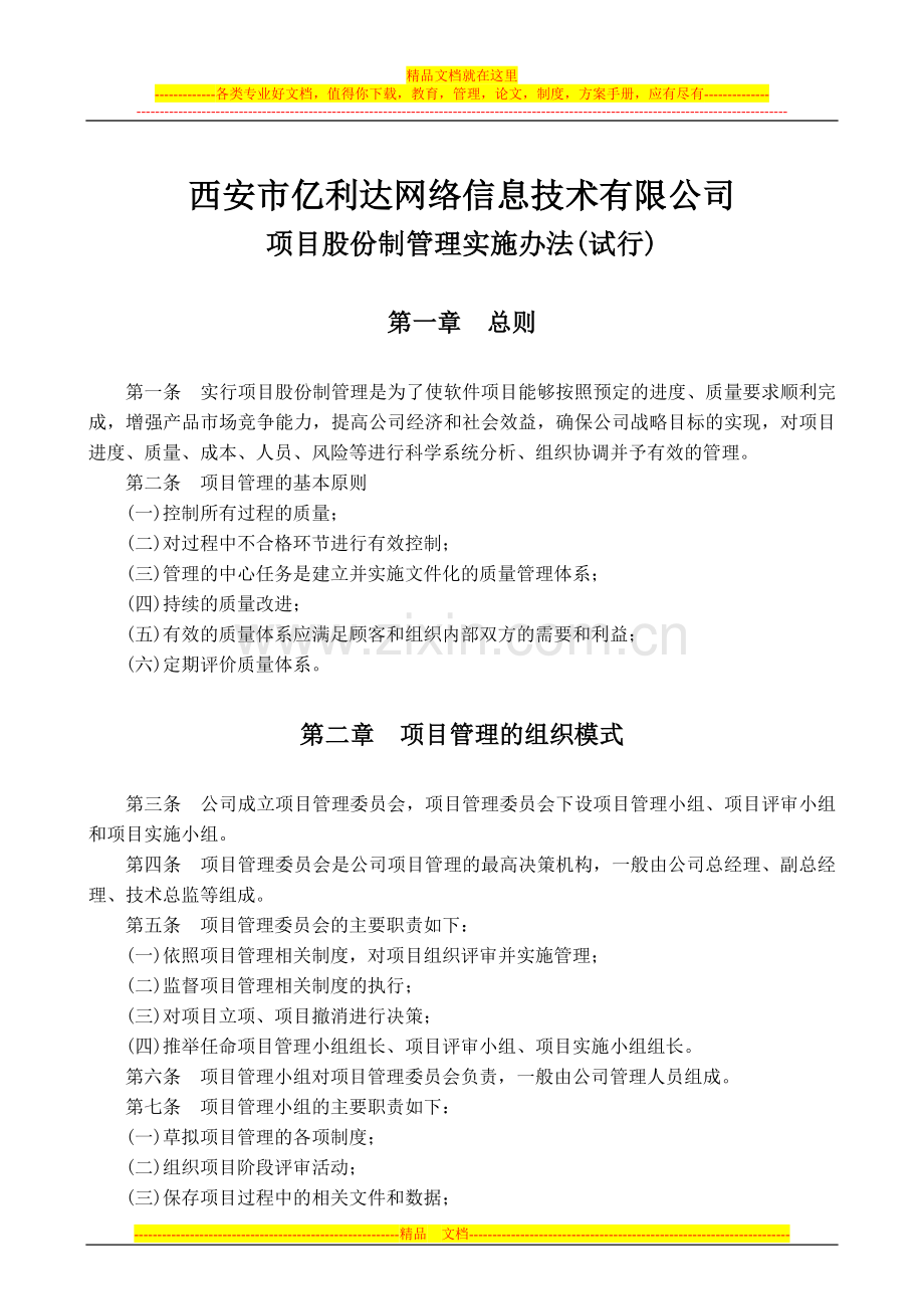 项目股份制管理实施办法(试行).doc_第1页