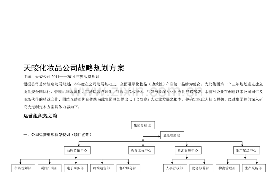 天蛟化妆品公司战略规划方案.doc_第1页