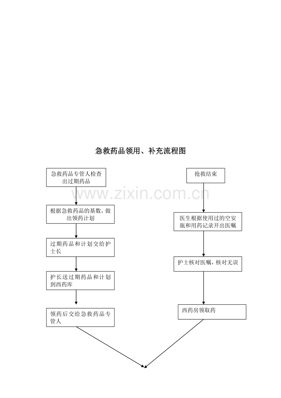 急救药品管理制度(急诊科).doc_第3页