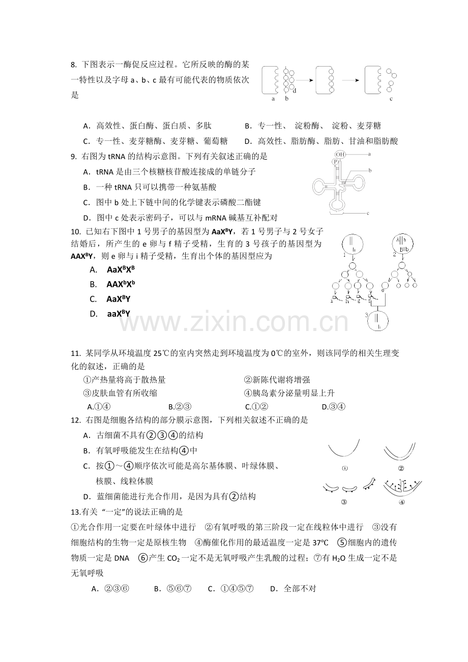 2014上海徐汇区高三生物一模试题(含答案).doc_第2页