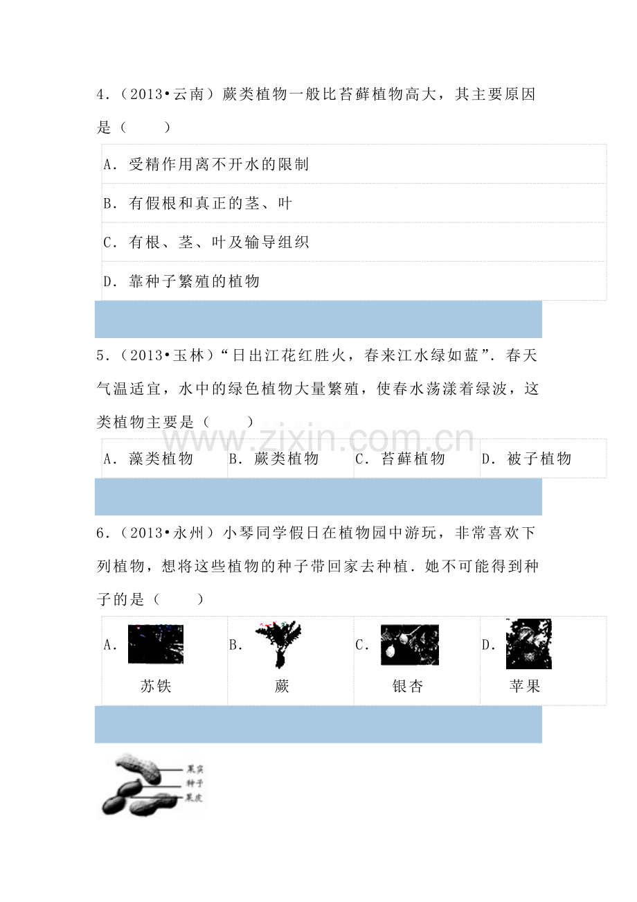 生物圈中的绿色植物练习题.doc_第2页