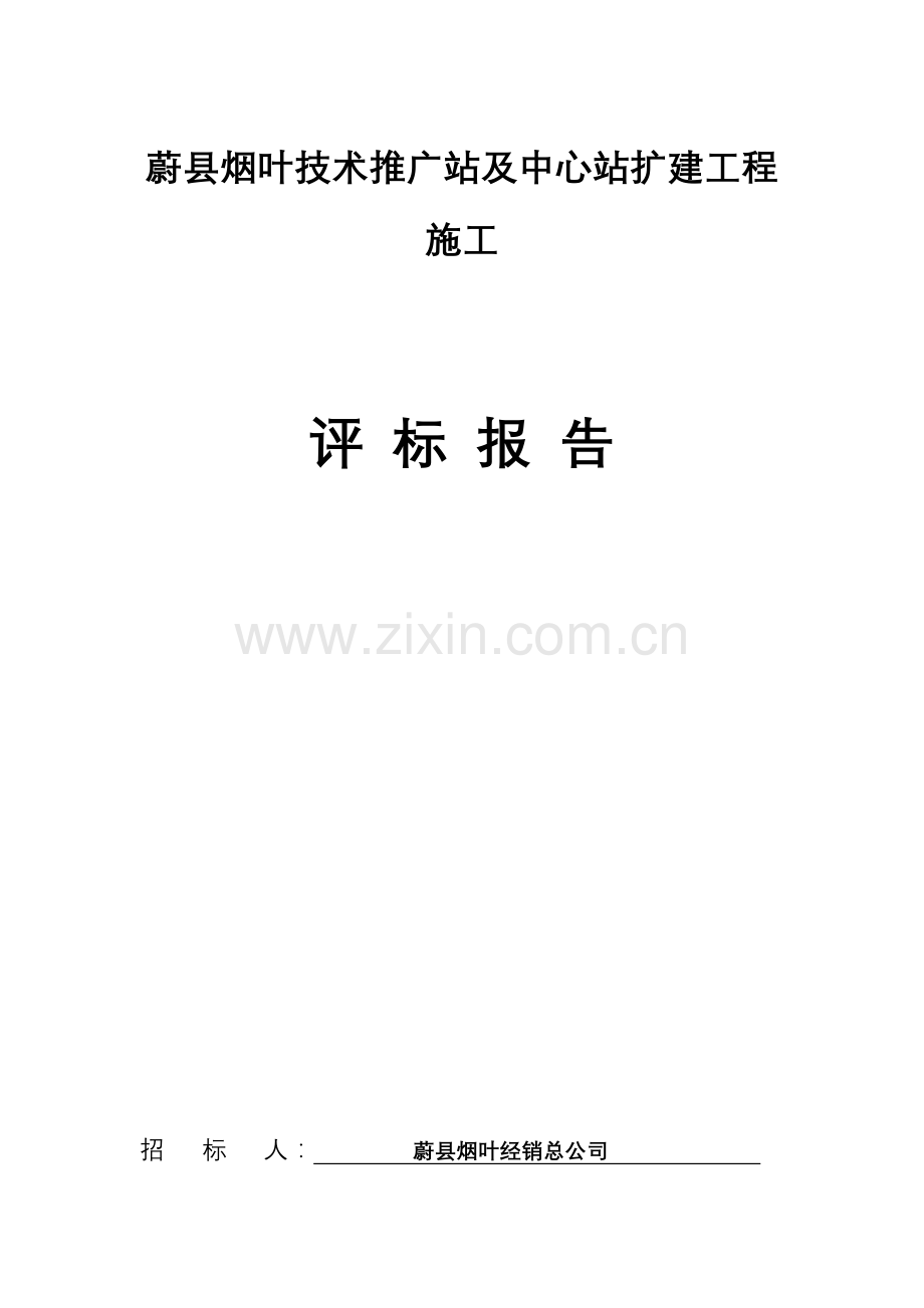 评标报告新.doc_第2页