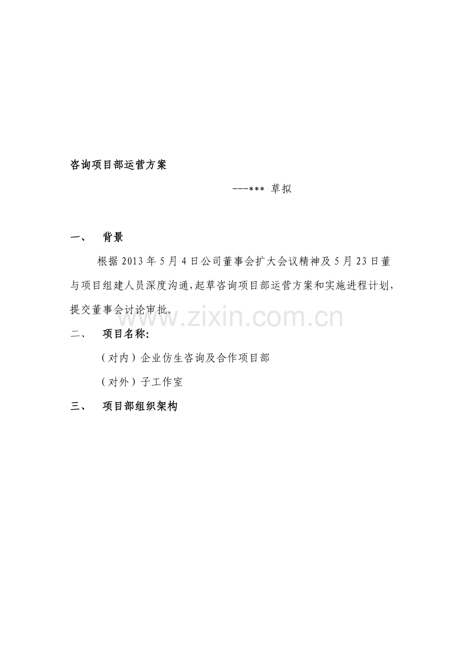 咨询项目部运营方案.doc_第1页