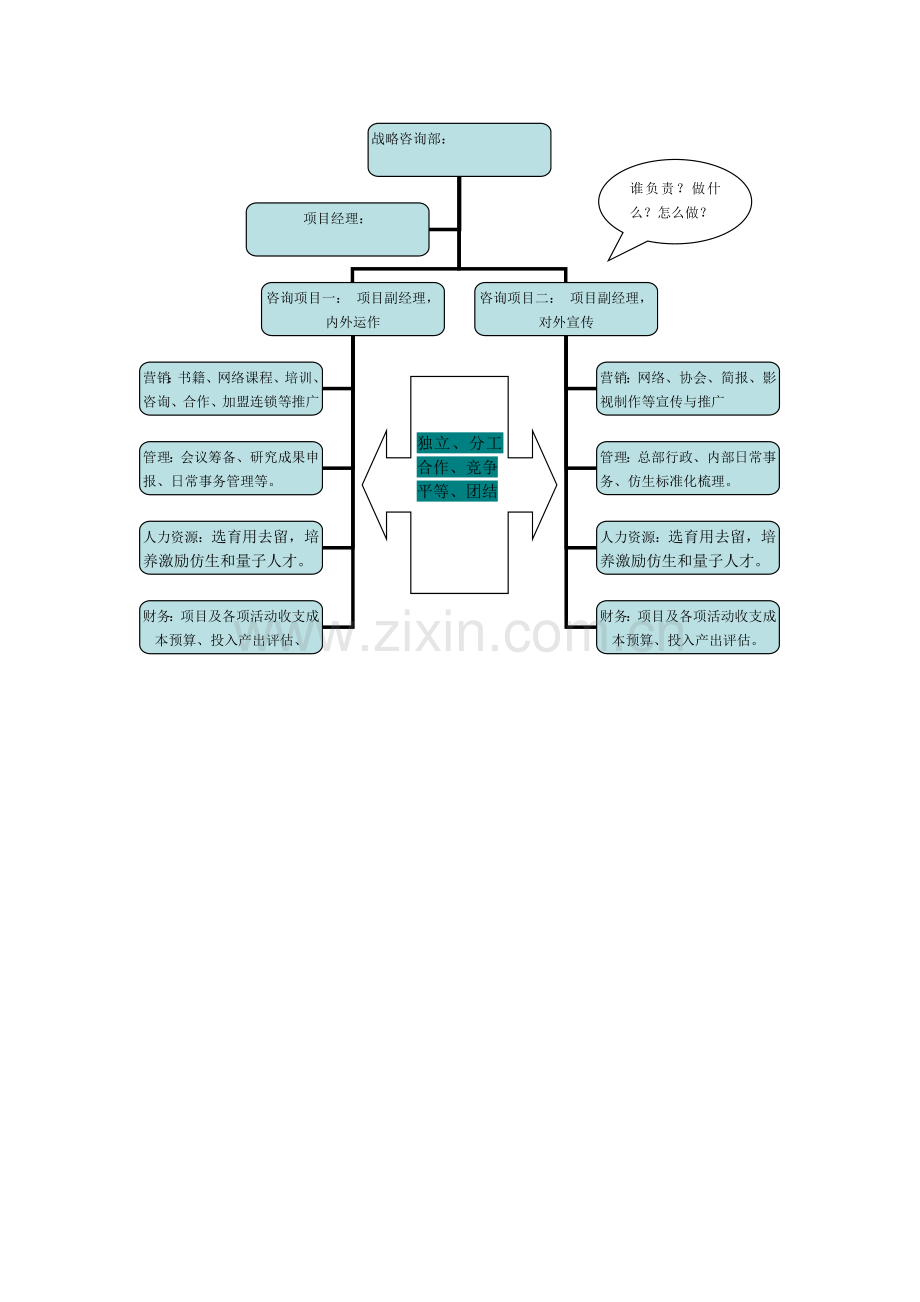 咨询项目部运营方案.doc_第2页